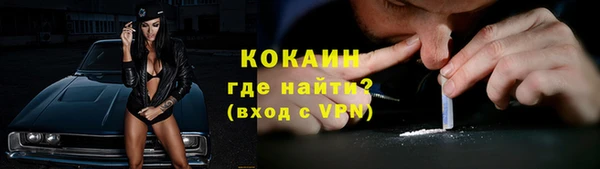 сатива Пестово