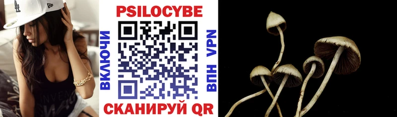 Псилоцибиновые грибы Cubensis  где найти   Реж 