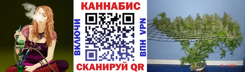 kraken tor Реж Каннабис THC 21%
